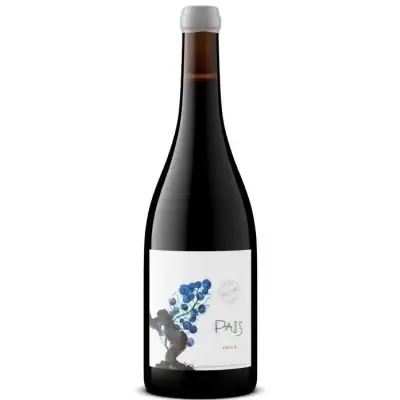 Catalina Ugarte Itata Pais