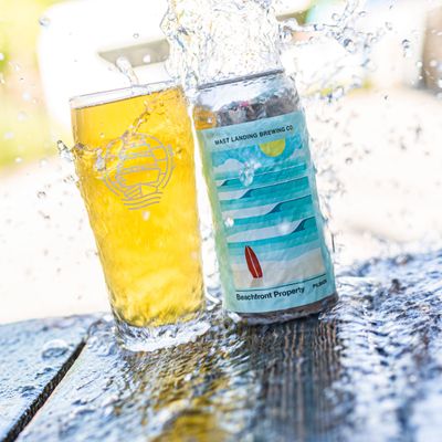 Mast Landing Beachfront Property German Pilsner 4pk Cans