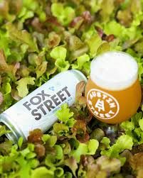 Austin Street &amp; Trillium Collab Fox Street NEIPA 16oz 4pk Cans