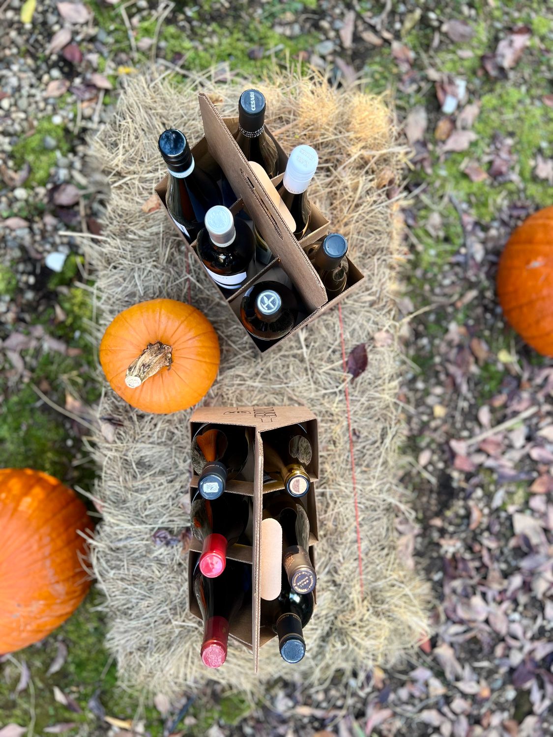The October BRIX Six—Sweater Weather Wines