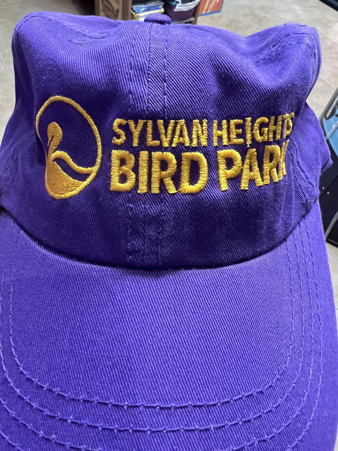 CAP ADULT LOGO