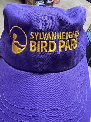 CAP ADULT LOGO