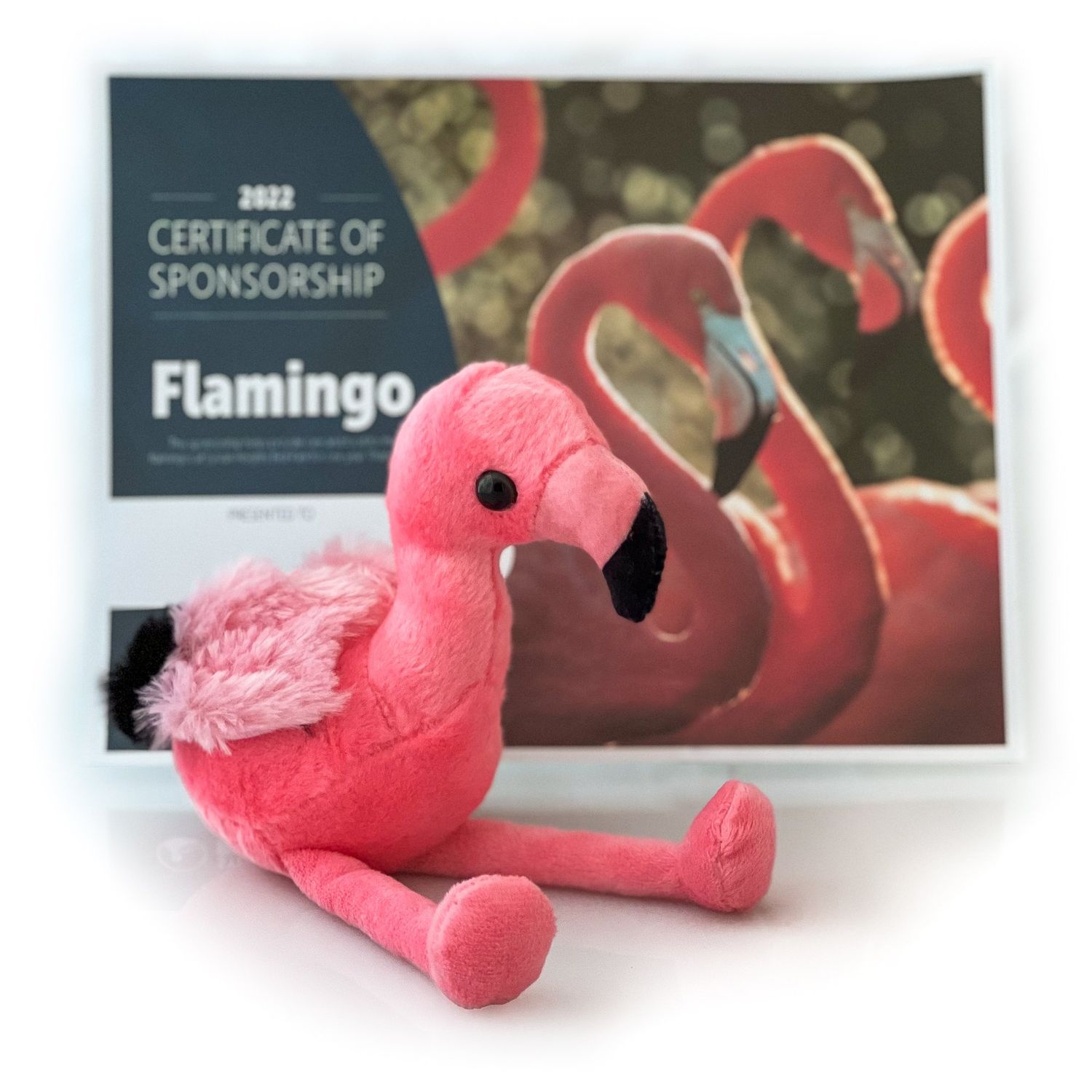 SPONSOR AN FLAMINGO