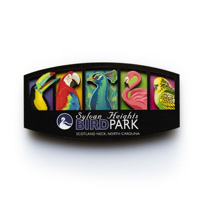 5BOX MAGNET