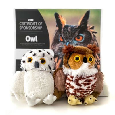 SPONSOR AN OWL