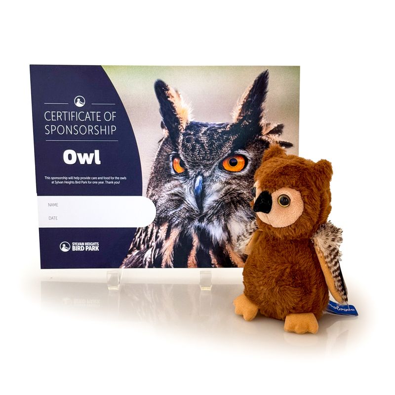 SPONSOR AN OWL