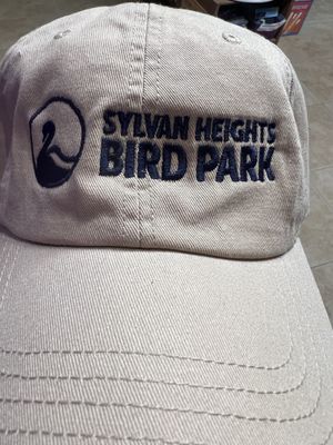CAP ADULT LOGO