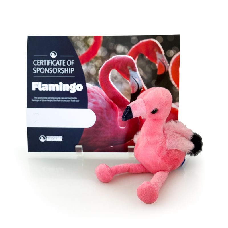 SPONSOR A FLAMINGO