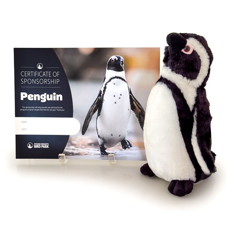SPONSOR A PENGUIN