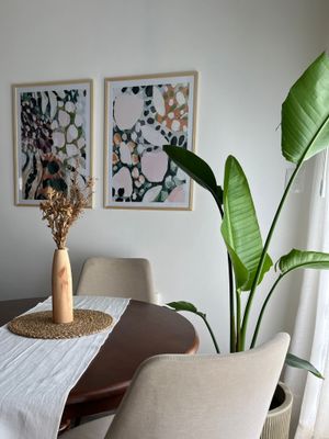 Plantas con Maceta de diseño
