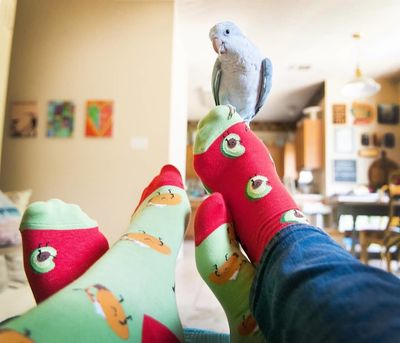 Socks