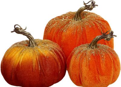 Thanksgiving &amp; Fall