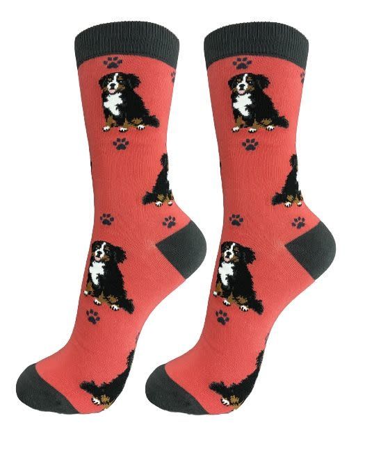 Full Body Bernese Mt. Dog Socks