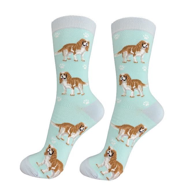 Full Body King Charles Cavalier Socks