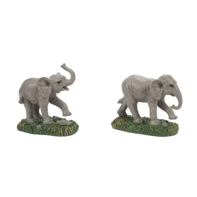 Zoological Garden Elephant