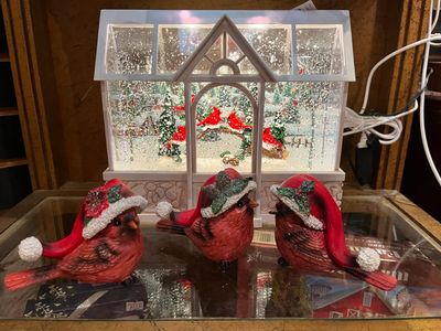 Snow Globes