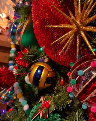 Water Polo Ball Ornament