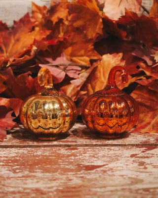 Thanksgiving &amp; Fall
