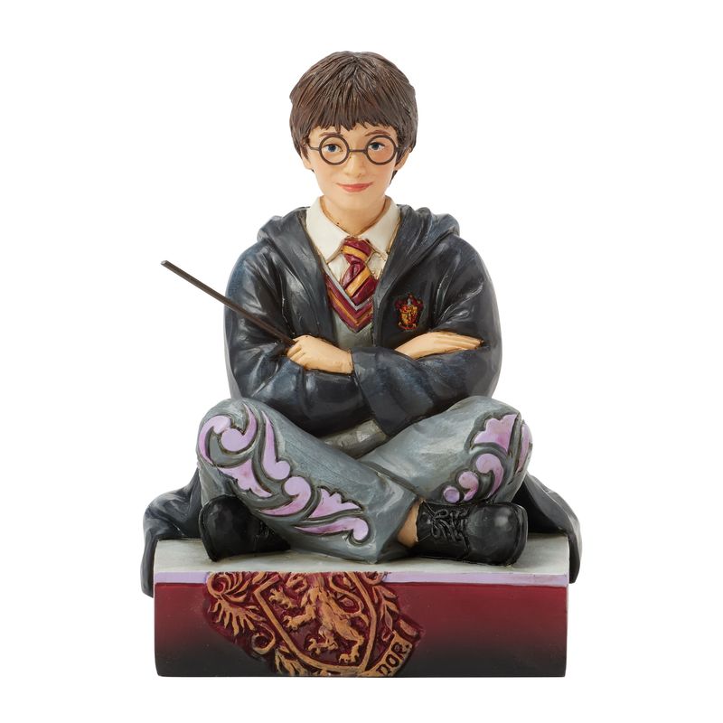 &quot;The Chosen One&quot; Harry Potter