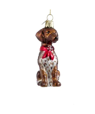 German Shorthair Pointer with Bandana Ornament