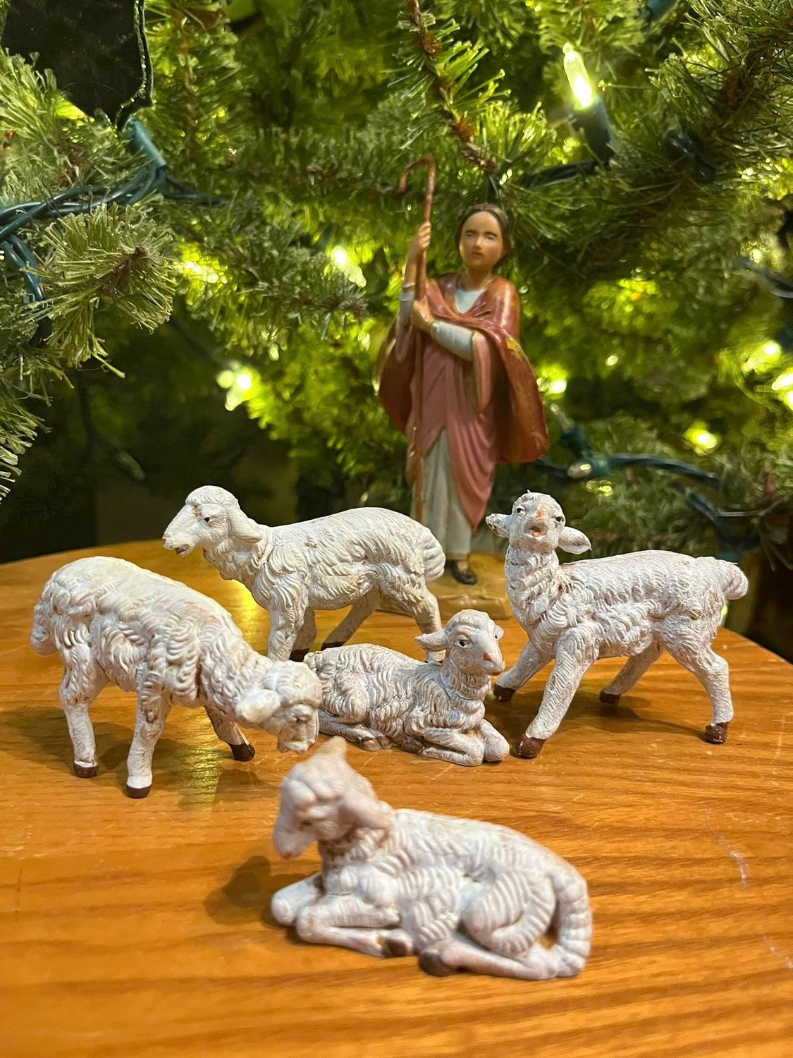 Fontanini White Sheep 5 pc set