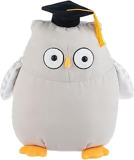 Write on Graduation Owl