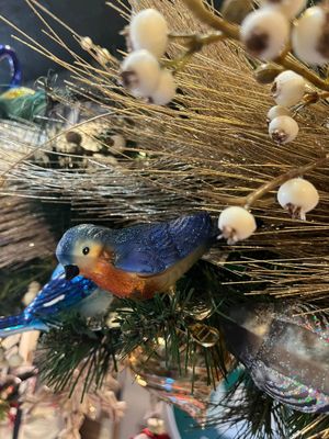 Western Bluebird Clip Ornament