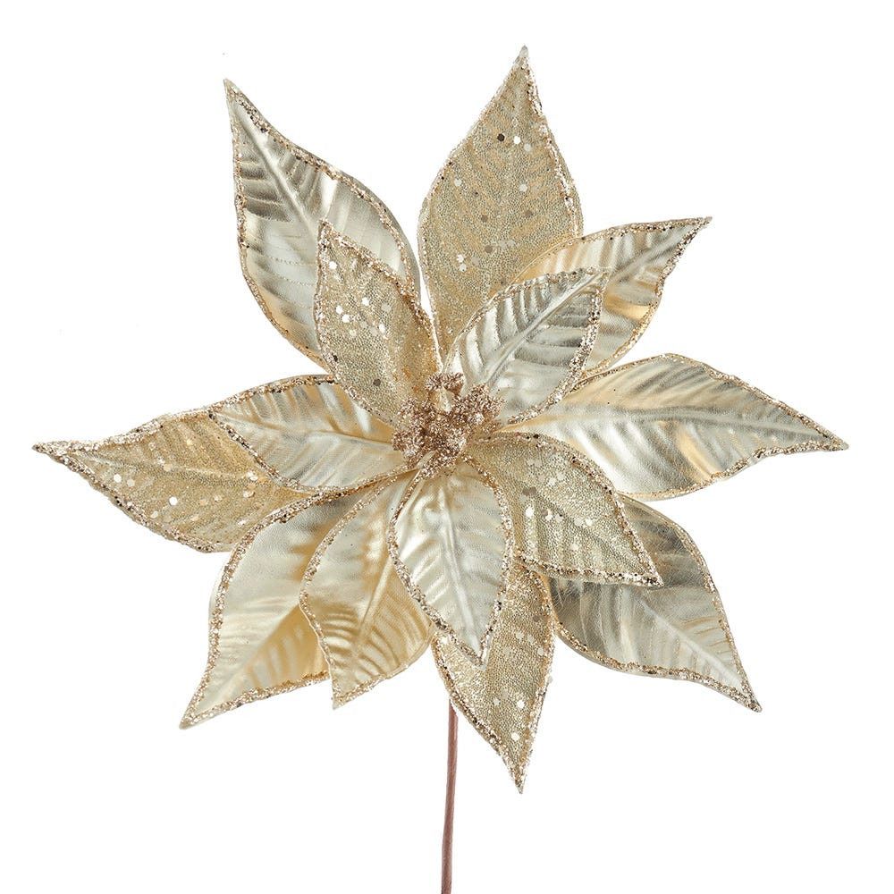 Champagne Gold Poinsettia
