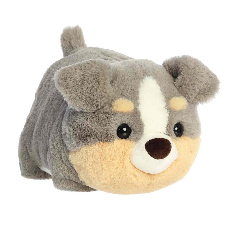 Storm Australian Shepherd Spudster