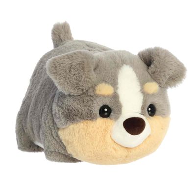 Storm Australian Shepherd Spudster
