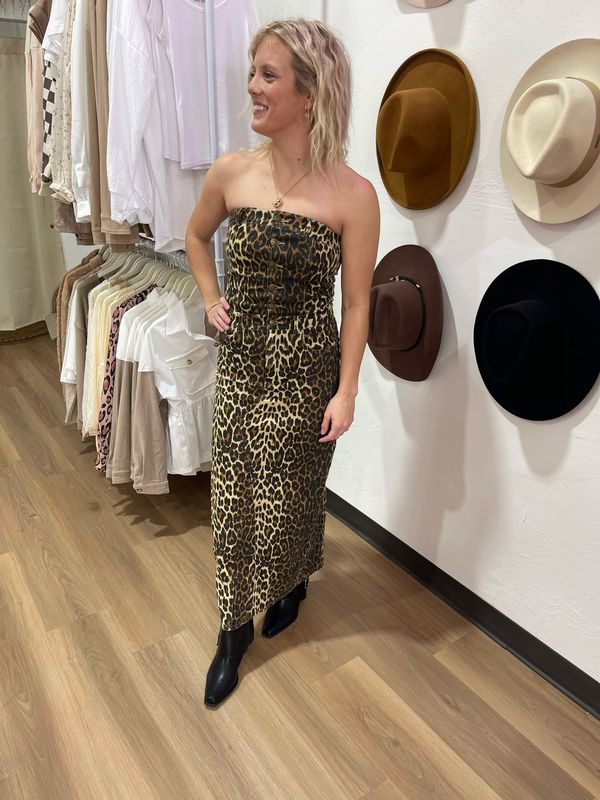 Ellison Leopard Corset Maxi Dress