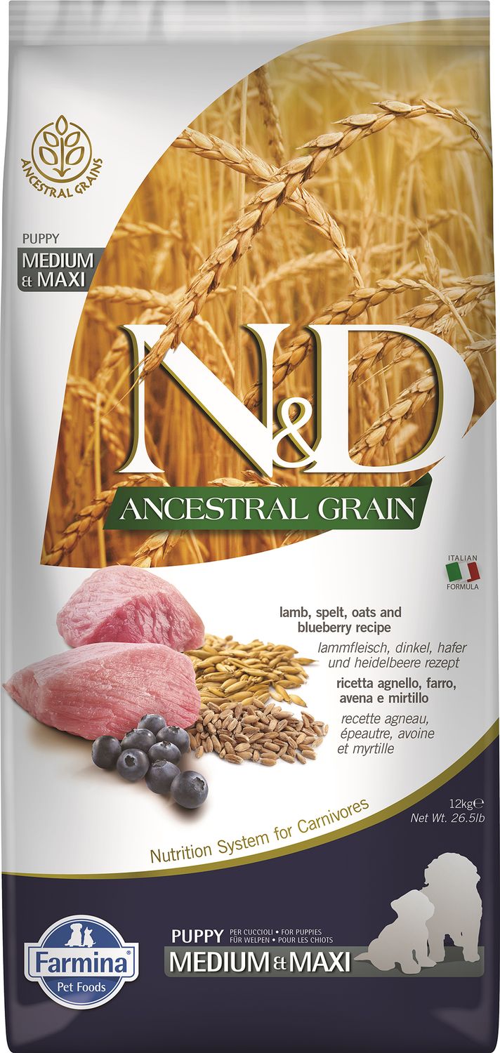 Farmina N&amp;D Ancestral Grain Lamb Blueberry Puppy Med &amp; Max 26.4#