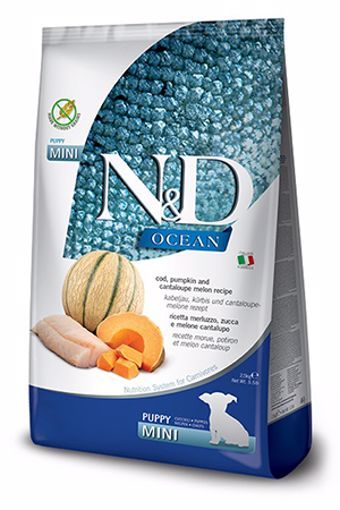 Farmina N&amp;D Ocean Cod Pumpkin Orange Puppy Mini Grain Free 5.5#