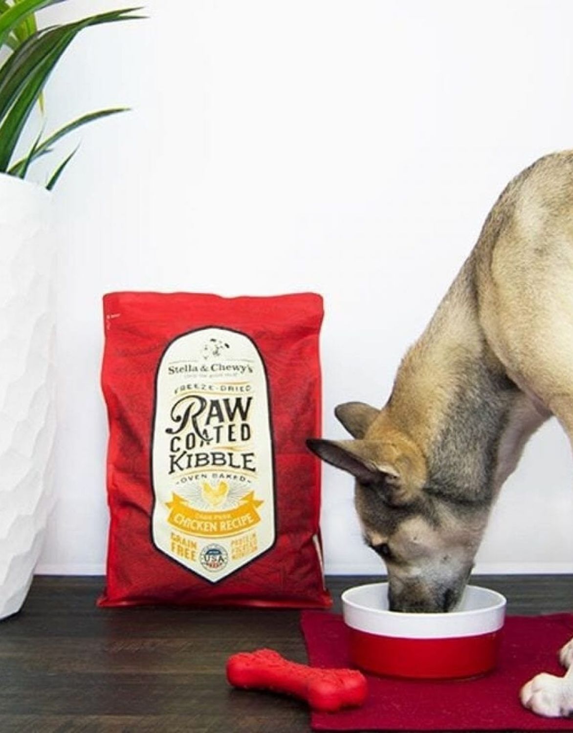 Stella &amp; Chewy’s Raw Coated 10#
