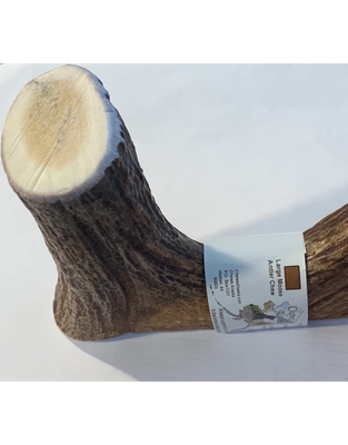 Chews Alaska 12 oz Dog Large Moose Antler