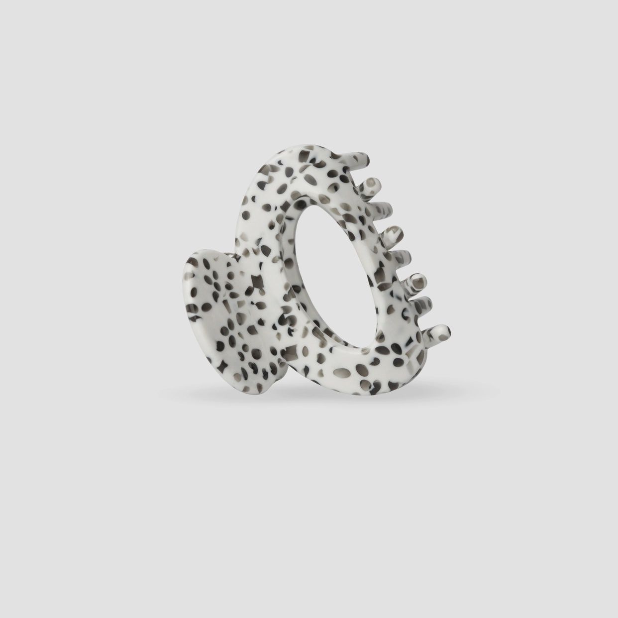 Pince - Joy Dalmatian