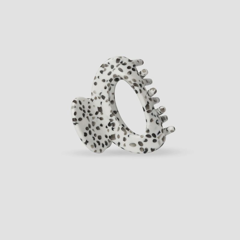 Pince - Joy Dalmatian