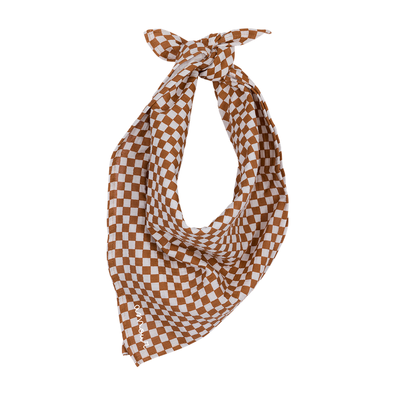 Foulard - gaze Damier