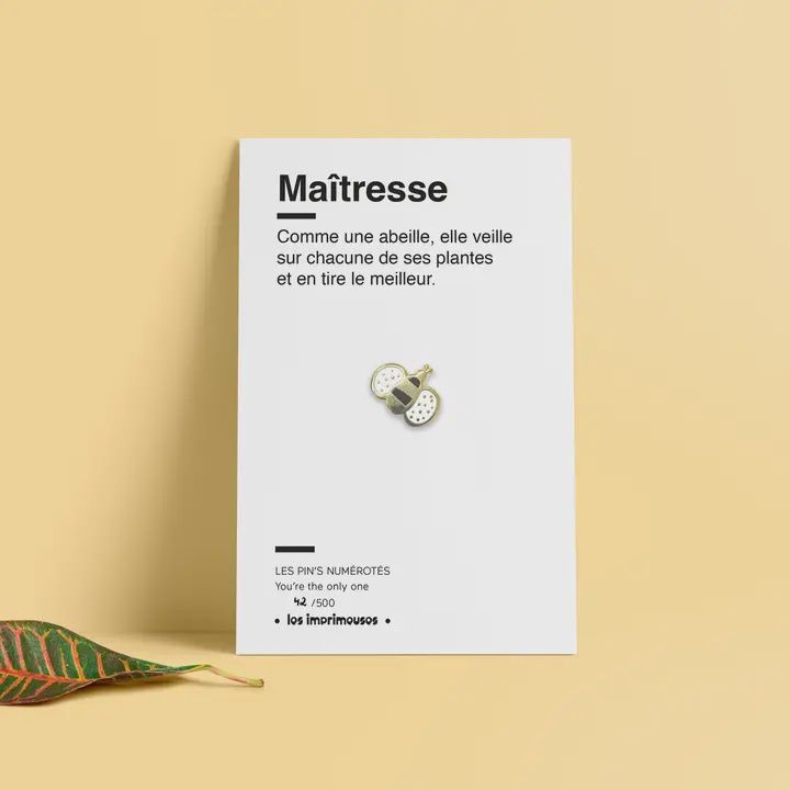 Pin&#39;s - Abeille Maîtresse - Spécial fin d&#39;année scolaire