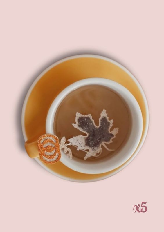 Sachets de thé - Feuille d'érable x5