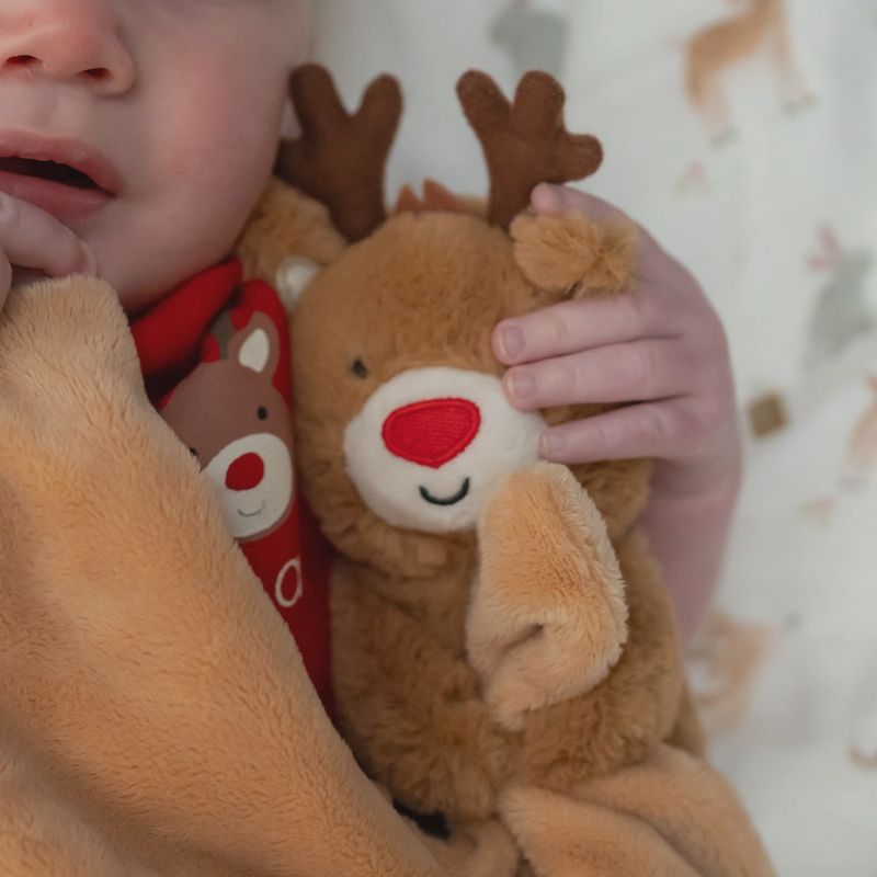 Doudou - Renne
