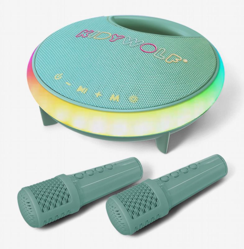 Enceinte Karaoké portable