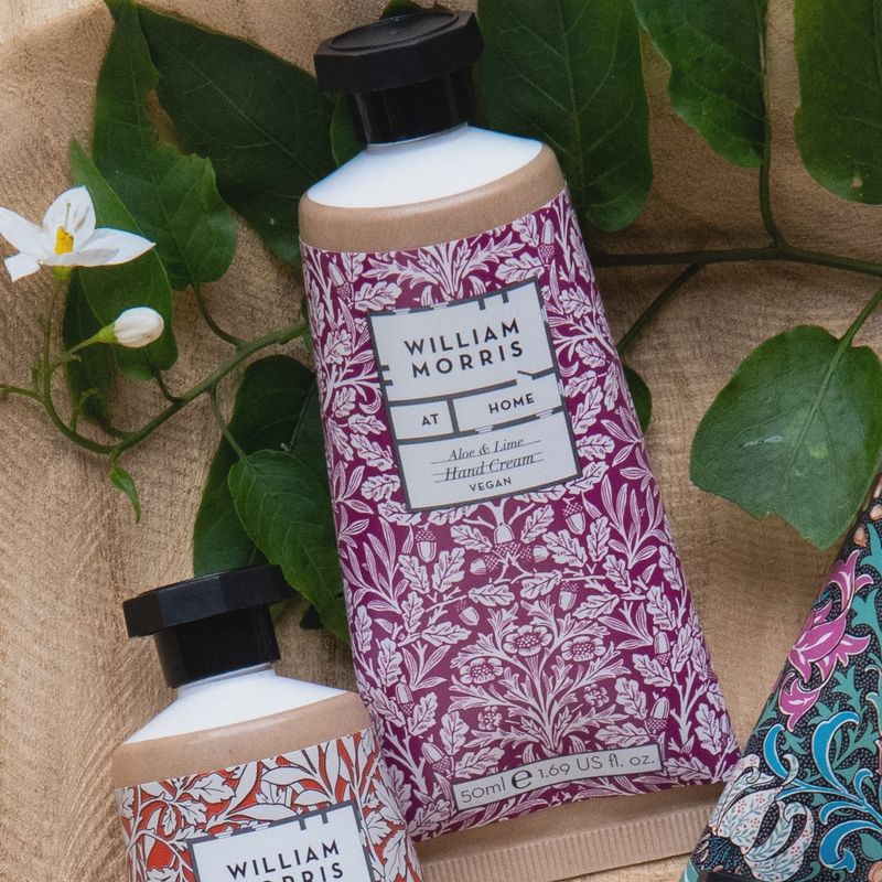 Crème mains Aloe &amp; Lime 50ml - Acorn