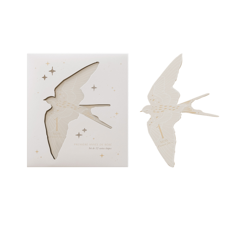 Cartes étapes - Birds