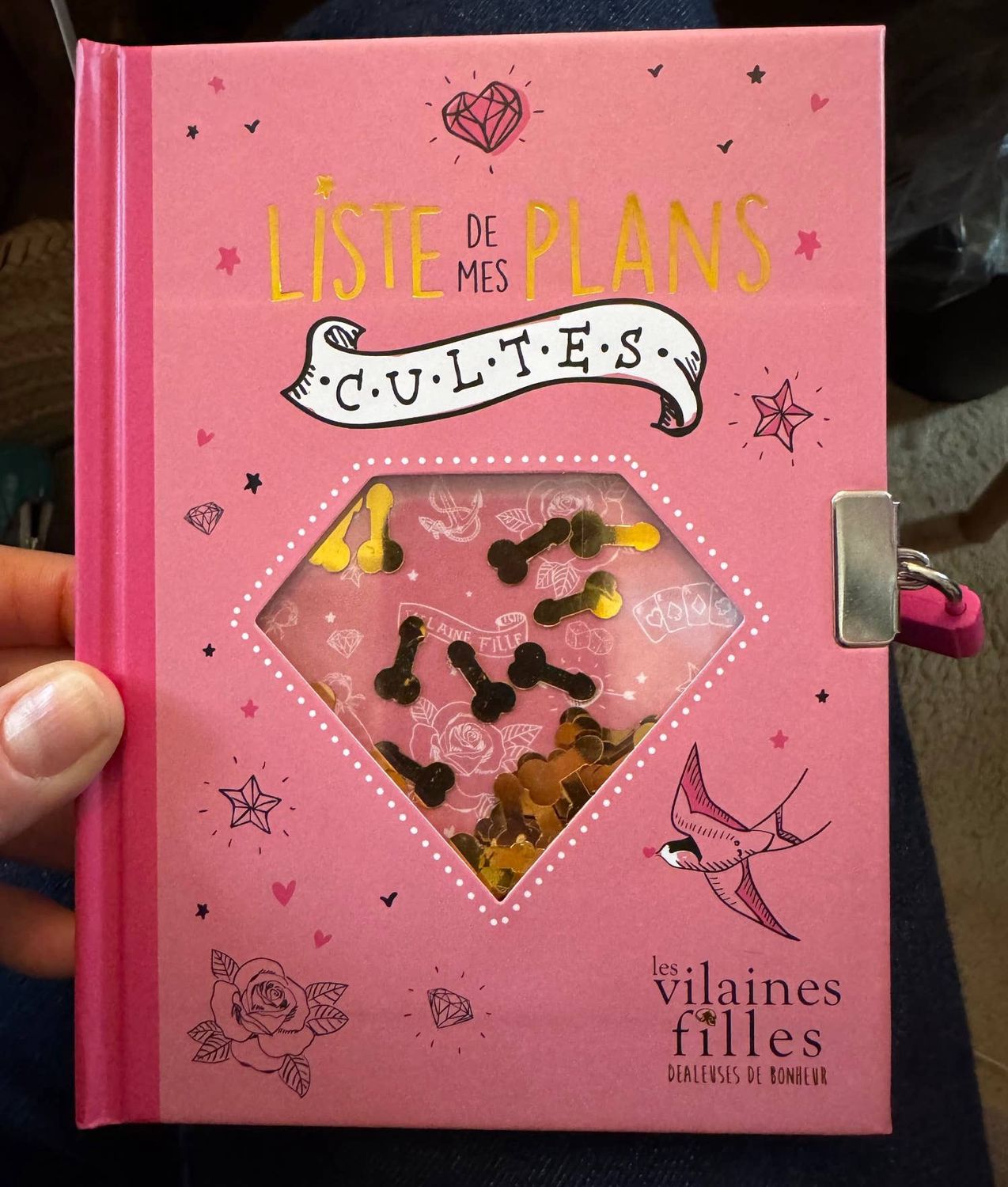 Carnet - Liste de mes plans cultes
