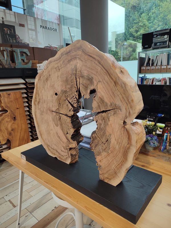 ESCULTURA OLIVO