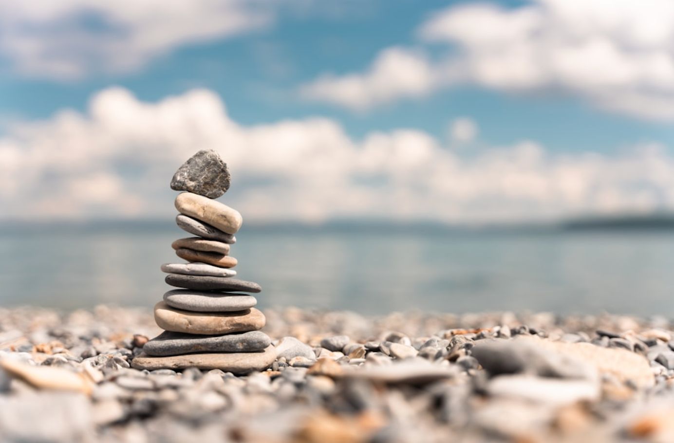 EnneaSense - Basis-Infoabend