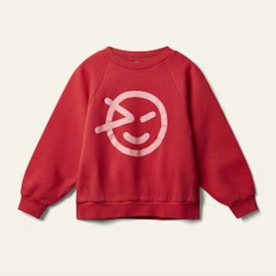 Wynken Raglan Sweat