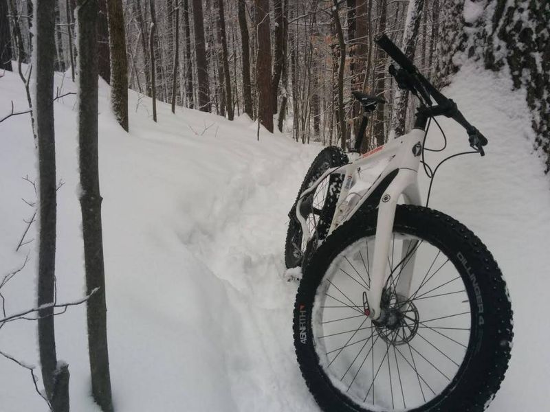 WINTER