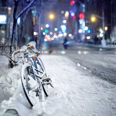 Winter Storage